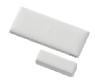 DSC PG8975.png